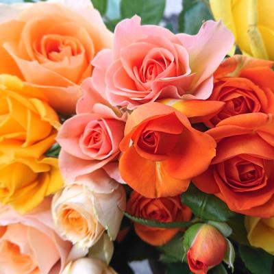 ふるさと納税 杵築市 『天使のバラ』薔薇だけの自立型花束(黄オレンジ系) |  | 03