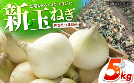 【先行予約】 新玉ねぎ 5kg 【吉祥】[HDG015]