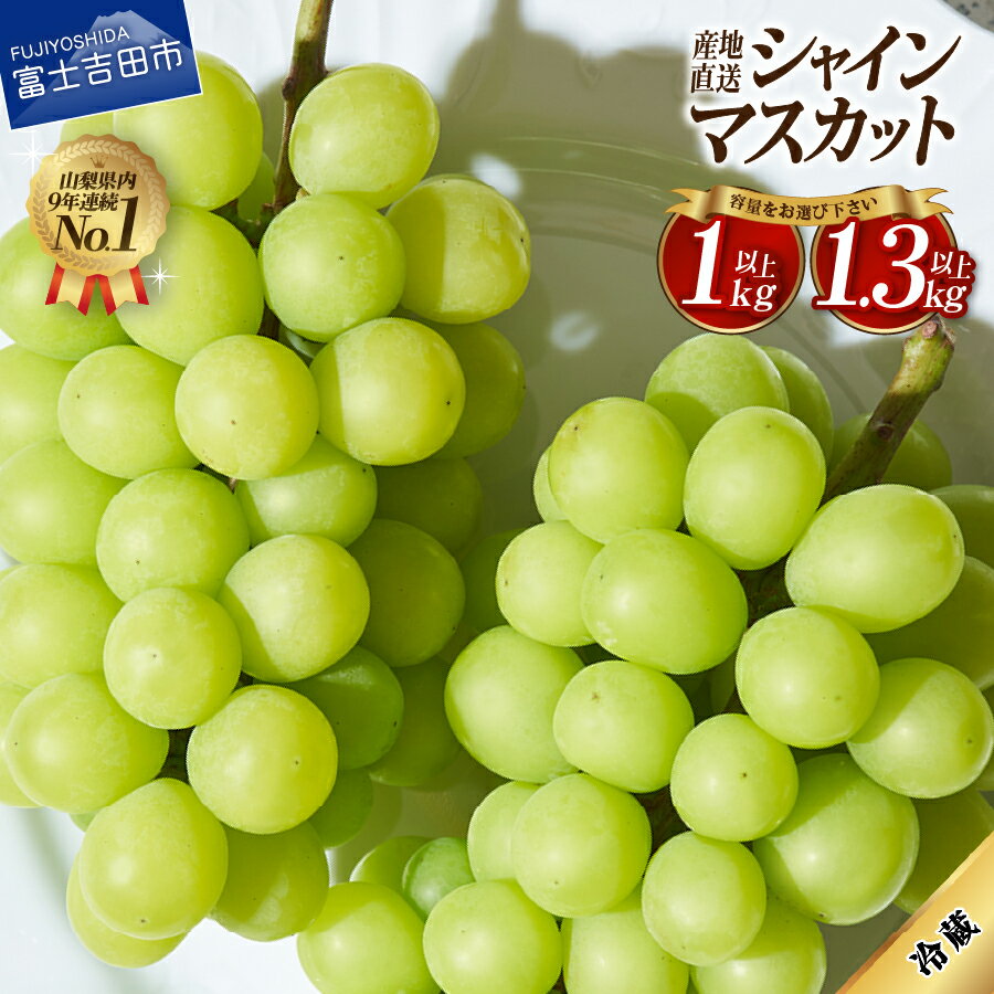 【ふるさと納税】 2026年 シャインマスカット フルーツ 選べる容量 1kg以上 1.3kg以上 2026年 山梨 大粒 高級 産地直送 富士吉田市 数量限定 期間限定 富士吉田 果物 ぶどう 朝採り シャイン マスカット ふるさと納税 山梨 富士吉田 山梨県 ふるさと納税 ランキング