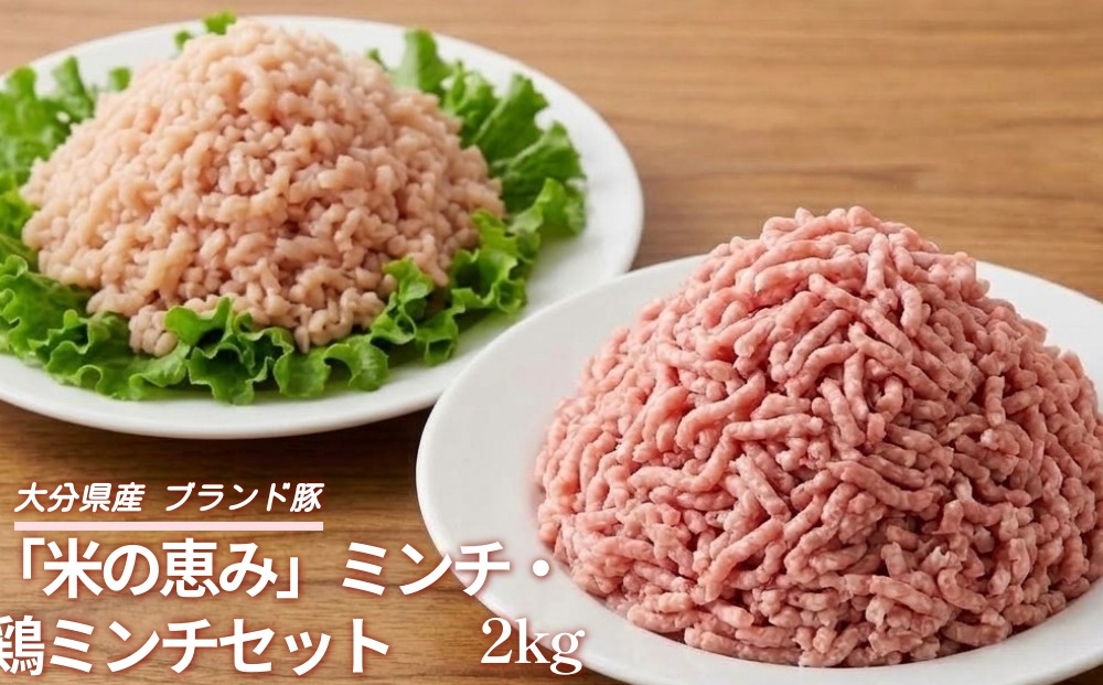
                  大分県産 ブランド豚「米の恵み」ミンチ・鶏ミンチセット 2kg
                