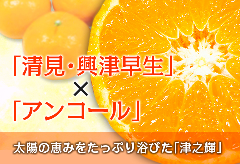 先行予約 数量限定 津之輝 つのかがやき 2kg以上 (2kg×1箱) フルーツ 果物 くだもの 柑橘 みかん 国産 食品 おすすめ ギフト 贈り物 贈答 プレゼント お返し お祝い 記念日 デザート