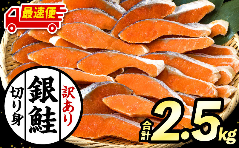 
            【選べる発送期日】【訳あり】銀鮭切り身2.5kg 銀鮭 シャケ しゃけ 切り身 2.5kg 鮭 新鮮 魚 魚介 魚介類 熟成 脂 脂乗り お弁当 おにぎり おむすび 鮭フレーク 鮭ごはん 西京焼き 蒸し焼き ホイル焼き 訳あり 家庭用 サケ 海鮮 朝食 和食 お取り寄せ 宮崎県 宮崎 _M302-001-SKU 
          