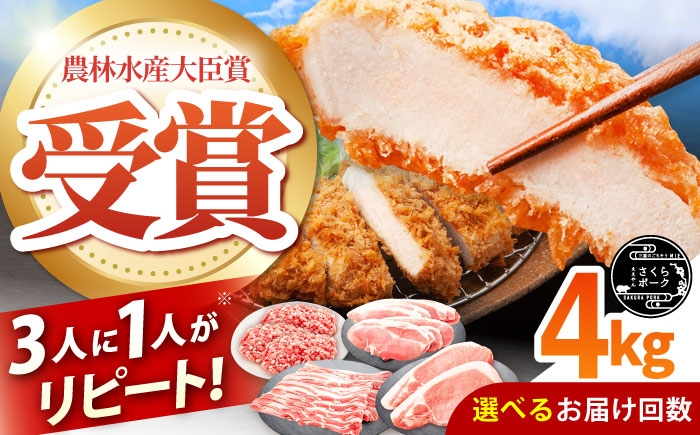 
                  【選べる定期便回数】ええやんさくらポーク 小林ファーム 豚肉 とんかつ4kgセット / 国産 ブランド豚 詰め合わせ とんかつ用 豚ロース 豚バラ 豚モモ ひき肉 三元豚 トンテキ 生姜焼き メンチカツ 柔らかい /亀山市/小林ファーム [AMAB053]
                