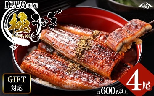 【お歳暮】【ギフト対応】楠田の極うなぎ 蒲焼き150g以上×4尾(計600g以上) b6-010-os