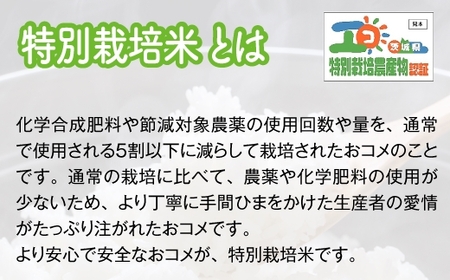 【令和5年産】【農家直送】稲敷市産無洗米にじのきらめき 10kg (5kg×2) [0639]