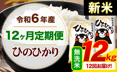 【12ヶ月定期便】令和6年産 新米 白米 ひのひかり 定期便 12kg《申込み翌月から発送》令和6年産 熊本県産 ふるさと納税 精米 ひの 米 こめ ふるさとのうぜい ヒノヒカリ コメ お米 hino