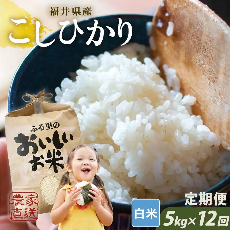 【先行予約】【令和8年産・新米】【農家直送定期便 12ヶ月コース】【白米】 本原農園のまごころコメた 福井県産 コシヒカリ 5kg × 12回 計60kg 【2026年10月上旬以降順次発送】 [L-8906_01]