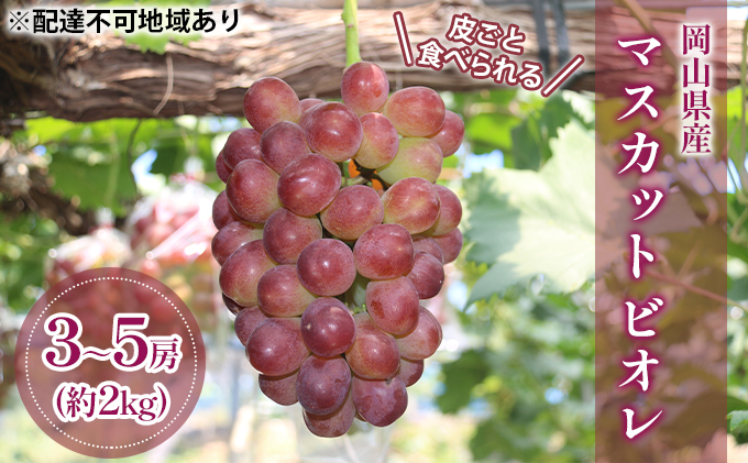 【2025年先行予約】 ぶどう 岡山県産 皮ごと 食べられる マスカット ビオレ 種無し 約2kg （3～5房） 葡萄 ブドウ フルーツ 果物 数量限定 期間限定 岡山 里庄町 《2025年9月下旬-10月下旬頃出荷》