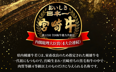 ＜宮崎牛＞ 霜降り肩スライス (500g) 【KU043】