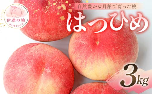 
            自然豊かな月舘で育った桃 はつひめ3kg（9～12玉） 桃 もも モモ 果物 くだもの フルーツ 名産品 国産 食品 F21C-049
          