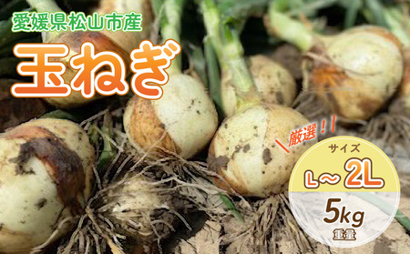 【農薬不使用】玉ねぎ 5kg | 野菜 玉ねぎ 玉葱 たまねぎ タマネギ オニオン 野菜 甘い 愛媛県 松山市 【HF004】
