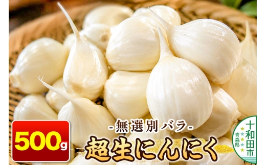 超生にんにく 無選別バラ500g 青森県産 [稀少 ニンニク 直送 高糖度 甘い]