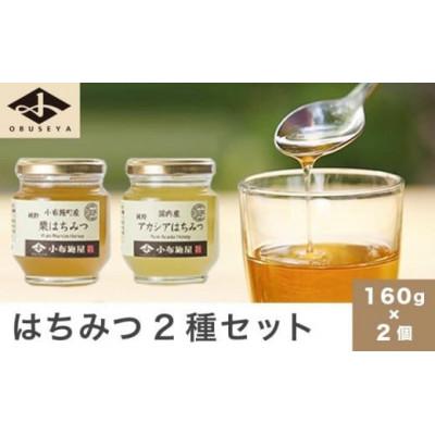 ふるさと納税 小布施町 国産 はちみつセット ( 栗・りんご ) 160g × 2種