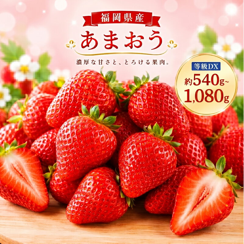 【ふるさと納税】あまおう 等級DX 約540g(2パック)/約1.080kg(4パック) 選べる内容量 1パック約270g 先行受付 事前予約 いちご 苺 フルーツ 果物 福岡県産 冷蔵 送料無料【2027年2月上旬～3月下旬に順次発送予定】