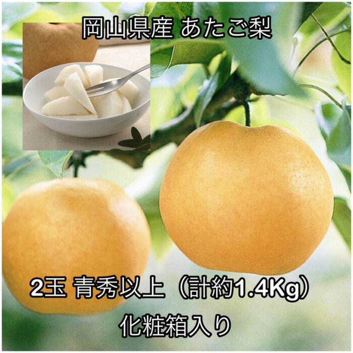 【ふるさと納税】岡山県産 果物 スイーツ フルーツ 梨 あたご梨 愛宕梨 化粧箱入り あたご梨 2玉 青秀以上 (約1.4kg )化粧箱入り 岡山県産