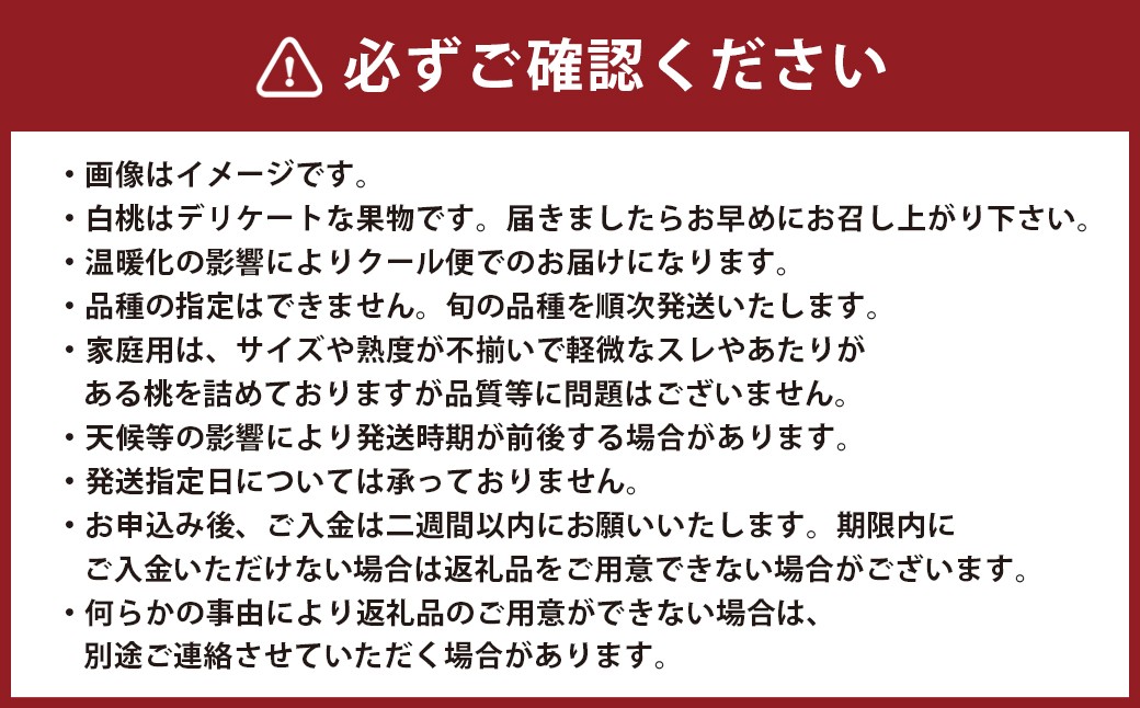 【訳あり】岡山白桃（家庭用）1.2kg以上  サイズ不揃い
