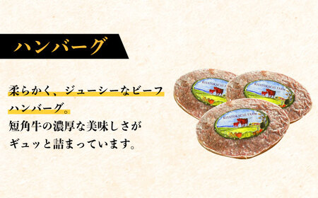 北海道 北十勝 短角牛 ハンバーグ 160g×3個《足寄町》【北十勝ファーム】肉 ハンバーグ 牛肉 赤身 和牛 160g ギフト 十勝 北海道産 道産 あしょろ 北海道 [BEAI004]