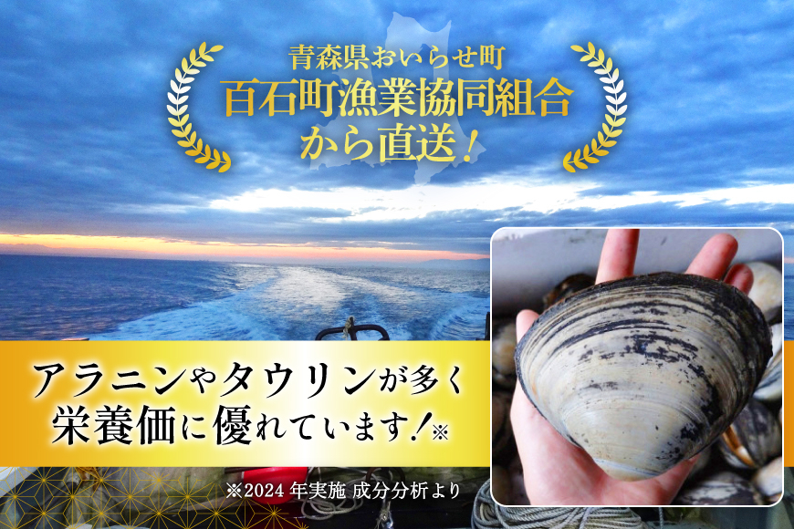【期間限定発送】【1月発送】 ホッキ貝 5kg [百石町漁業協同組合 青森県 おいらせ町 oi02ayo550002] ほっき貝 ブランド 奥入瀬 北寄貝 ホッキ ほっき