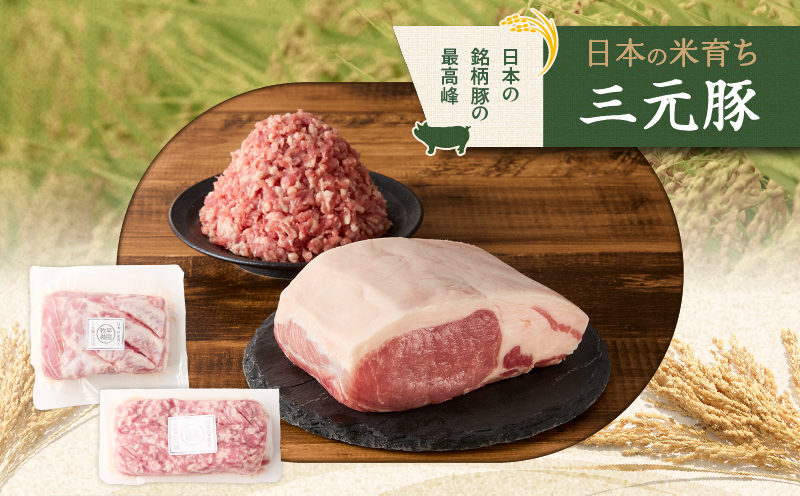 【全12回 毎月定期便】日本の米育ち平田牧場三元豚ロースブロック 600g・三元豚挽肉 300g　T036-T13-03