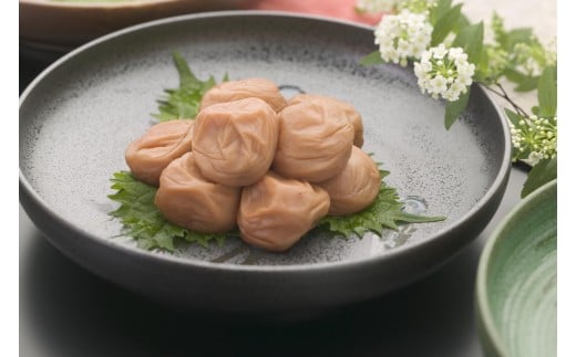 M261　紀州　はちみつ梅　紀和の梅　１ｋｇ×２