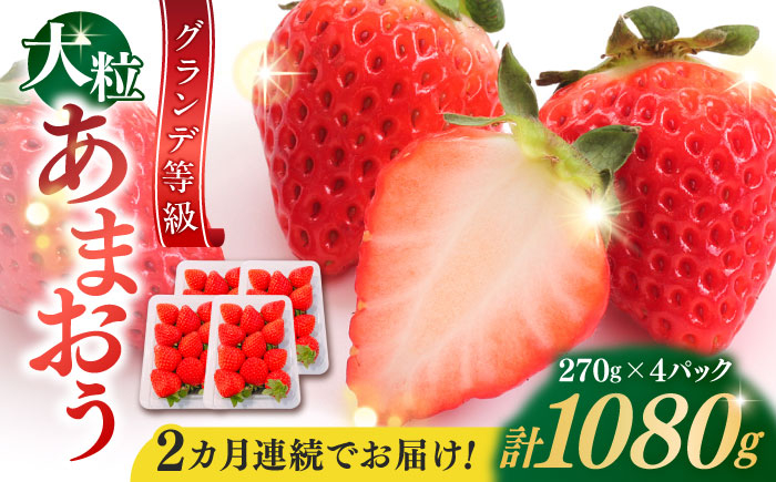 
            【全2回定期便】【2026年1月中旬より順次発送】 あまおう いちご 1080g (約270g×4パック) 吉富町/株式会社HSP-テクノ [BGBQ003]
          