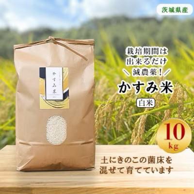 ふるさと納税 潮来市 令和8年産新米　栽培期間出来るだけ農薬を減らして作った「かすみ米」白米 10kg
