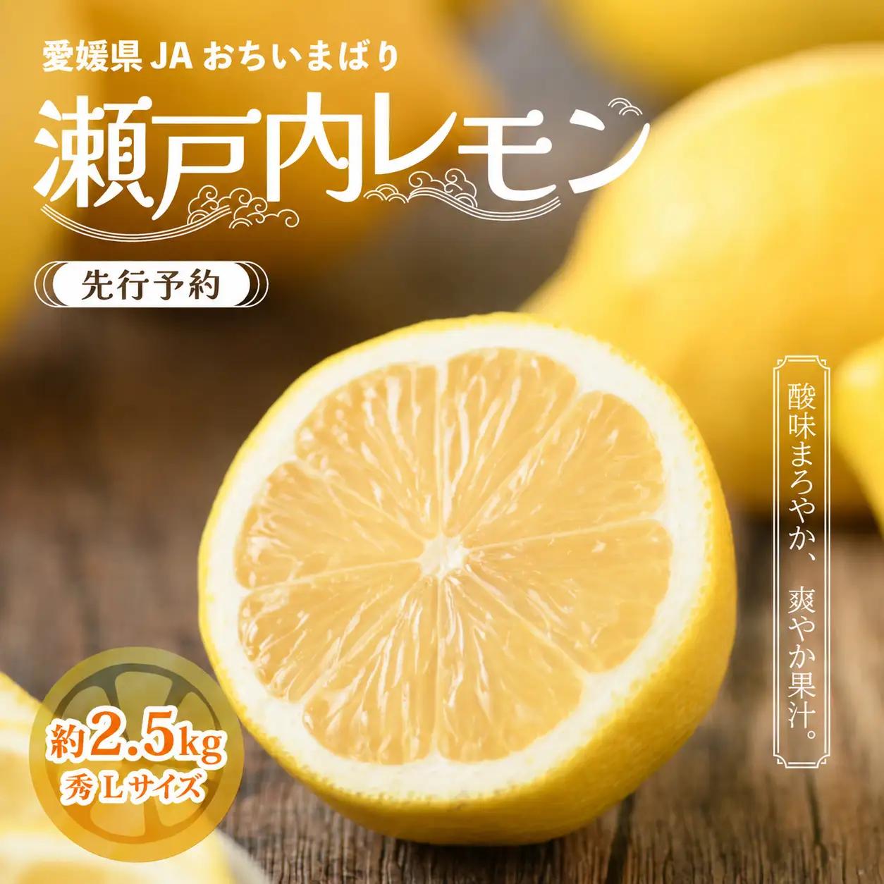 レモン 【先行予約】瀬戸内 レモン小箱 約2.5kg 秀 Lサイズ