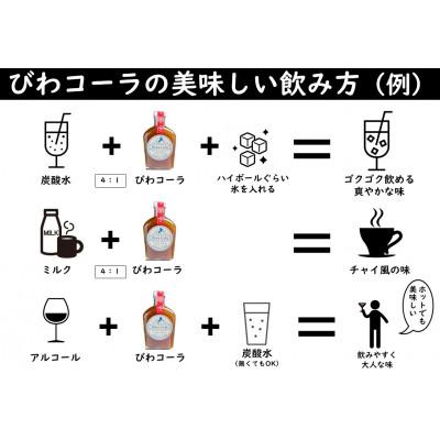ふるさと納税 近江八幡市 びわコーラ　クラフトコーラシロップ3本セット |  | 03