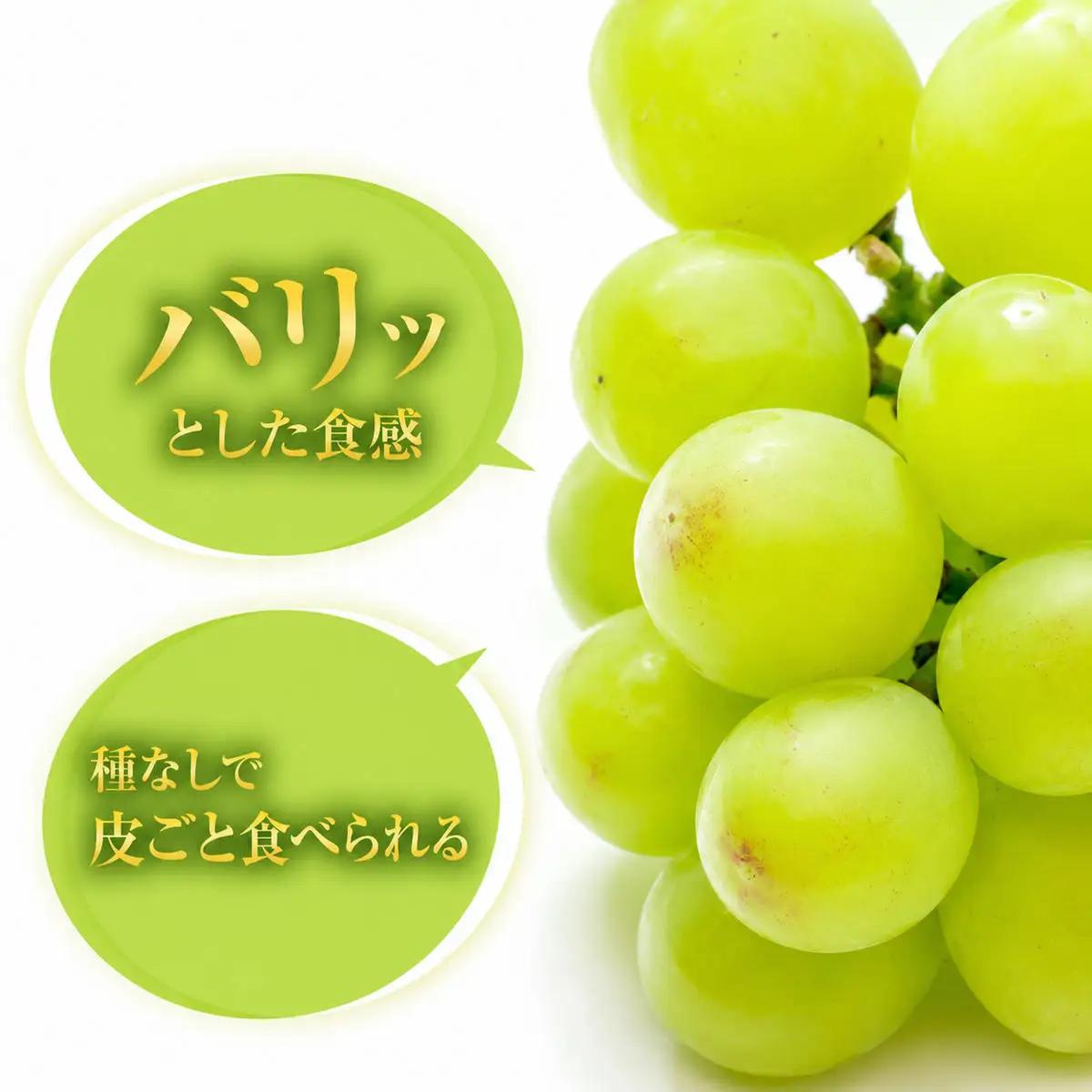 瀬戸ジャイアンツ 岡山県産 瀬戸ジャイアンツ【約2kg 3〜5房】【先行予約】