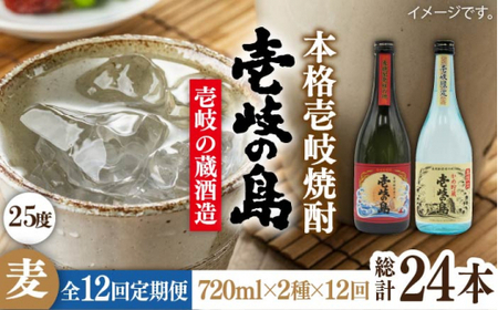 【全12回定期便】壱岐の島 25度と壱岐の島 かめ貯蔵 25度のセット 《壱岐市》【天下御免】[JDB224]