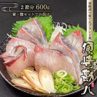 ふるさと納税 須崎市 須崎勘八 600g以上