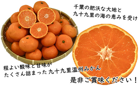 【訳あり】九十九里温州みかん 約10kg 千葉県 山武市 SMBZ001 みかん ミカン 蜜柑 温州 温州みかん 温州ミカン 興津早生 おきつわせ 早生 早生みかん 早生ミカン わせみかん 10kg 