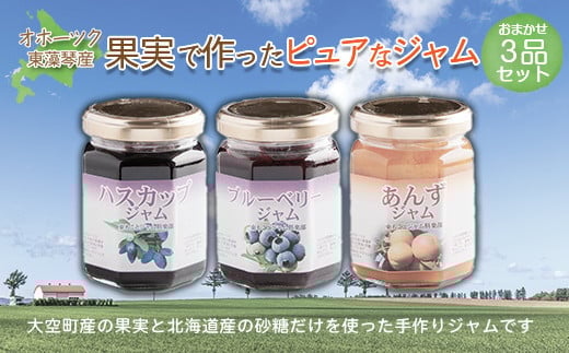 オホーツク東藻琴産の果実で作ったピュアなジャム3品セット 【 ふるさと納税 人気 おすすめ ランキング ジャム ハスカップ すもも うめ プルーン あんず ブルーベリー カシス ヨーグルト パン ケーキ 料理 ソース 朝食 加工品 北海道 大空町 送料無料 】 OSK002