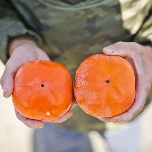 三重の安心食材認定！ 【2025年発送】三重の安心食材認定！中村農園の次郎柿 M・Lサイズ　22個 (約5～6㎏)　先行予約 先行 予約 柿 カキ かき 減農薬 安心 贈答 果物 くだもの フルーツ 