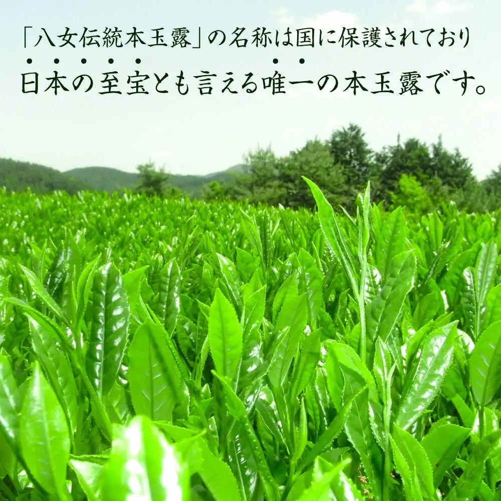 八女茶 伝統本玉露1袋[BGAF014]玉露