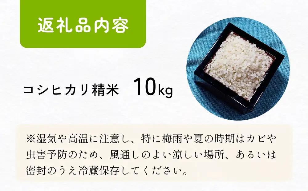 【交響するお米】［精米］自然栽培 コシヒカリ 10kg（富山県 氷見市 / 令和7年産） |   移住農家が里山から直送 米 白米 こしひかり