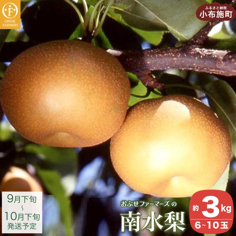 【ふるさと納税】南水 秀品 約3kg 6〜10玉 [おぶせファーマーズ] 梨 なし フルーツ 果物 クール便 冷蔵便 長野県産 信州産 先行予約 数量限定 令和7年産 【2025年9月下旬～10月下旬発送】