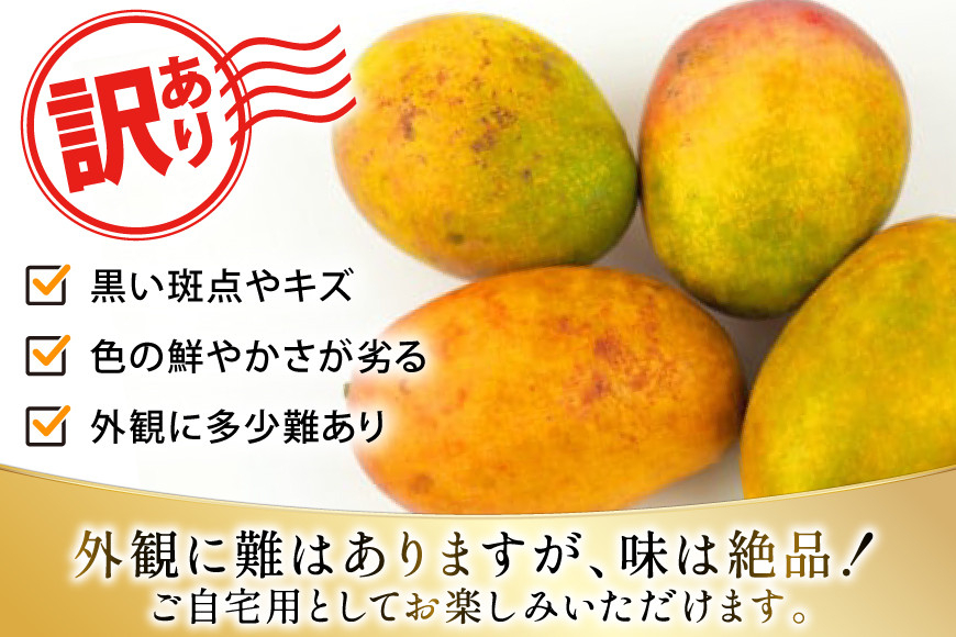 【期間限定発送】 訳あり マンゴー (アーウィン種) 約 2kg (4～6玉) [伊江村マンゴー部会 沖縄県 伊江村 ie47bde320010] 沖縄 フルーツ 果物 甘い 夏 濃厚 Mango 果