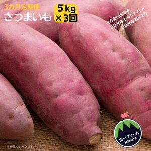 【3ヶ月定期便】さつまいも　5kg×3回（1月安納芋・ 2月シルクスイート・ 3月紅はるか）
