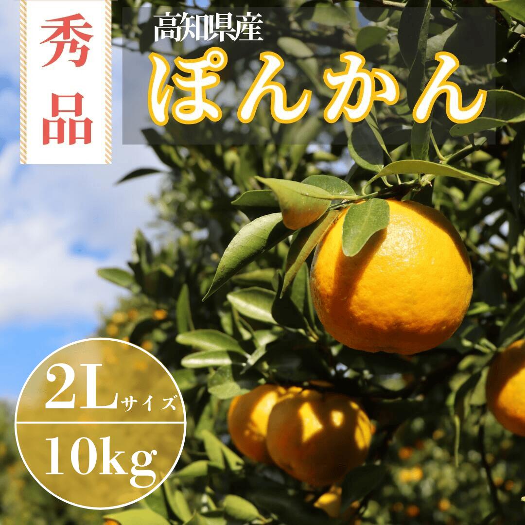 【ふるさと納税】TM003-2 徳村の秀品ぽんかん 2Lサイズ＜10kg＞国産 東洋町産 訳アリ 甘い コク ジューシー 果肉 高知県 東洋町 四国 お取り寄せ フルーツ 果物 家庭用 自宅用 送料無料
