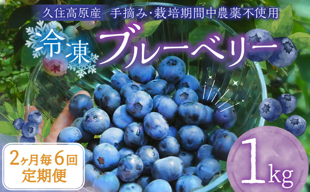 
            【2ヶ月毎6回定期便】大分県久住高原産 『手摘みブルーベリー』 冷凍ブルーベリー 1kg 計6kg 【2025年7月下旬より順次発送開始予定】
          