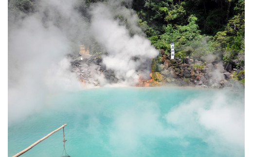 
べっぷ地獄めぐり入場券（ペア券）
