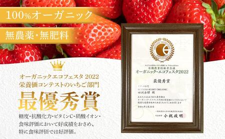 オーガニック【有機JAS承認いちご】「さちのか」12～15粒（380g以上）【2024年2月中旬～発送】｜イチゴ フルーツ 果物 ベリー 苺 国産いちご 有機いちご オーガニックいちご 贈答いちご 贈