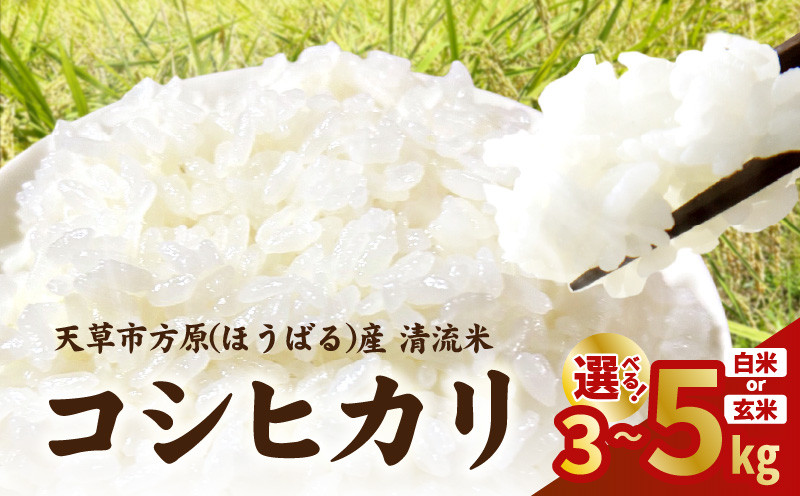
            天草市方原産　白米（コシヒカリ）各種【先行受付】_S150
          