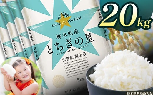栃木県産とちぎの星 20kg | 2025年 2025年米 令和7年米 秋 白米 ごはん ご飯 小分け 人気 おいしい 旨い おにぎり おむすび お弁当 限定 栃木県共通返礼品 栃木県 下野市 送料無料