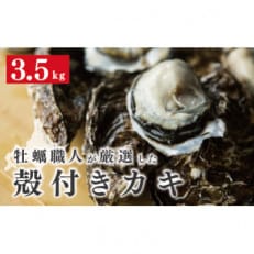 ≪先行受付≫牡蠣職人が厳選した殻付き牡蠣 3.5kg(生食可) [No.5930-0334]