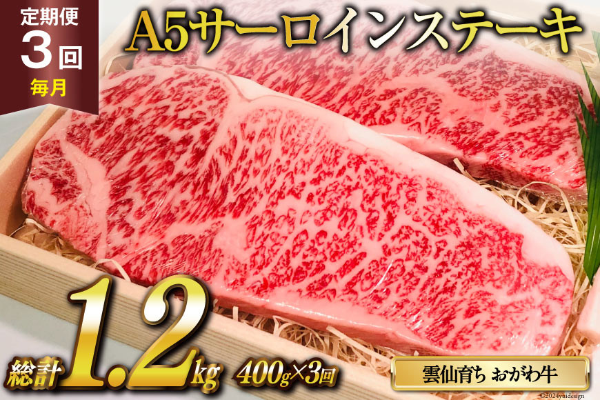 
            定期便 3回 牛肉 雲仙育ち おがわ牛 A5 サーロインステーキ 総計1.2kg(400g×3回) [焼肉おがわ 長崎県 雲仙市 item2110] ステーキ 黒毛和牛 冷凍
          