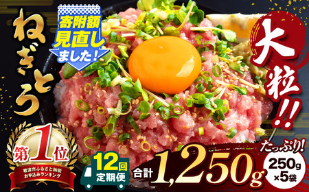【定期便・12ヶ月】清幸丸水産 大人気！ねぎとろ（250g×5袋）1250g | ネギトロ とろ 鮪 海鮮 魚介 魚 人気 小分け 人気 定番 ご飯 オススメ 千葉県 君津市 きみつ