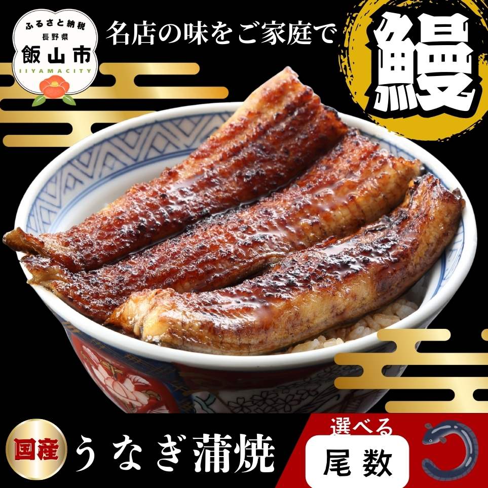 【ふるさと納税】＼国産うなぎ蒲焼／選べる 1〜4尾 150g以上 おつまみ付 タレ付き 冷蔵 冷凍 明治37年創業 本多【うなぎ 鰻 ウナギ 蒲焼 備長炭 秘伝 タレ 飯山市 本多 おいしい オススメ プレゼント ギフト 記念日 土用 丑の日 祝 長野県 こだわり】