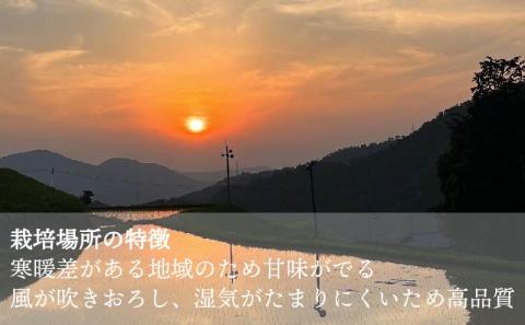 【2023年収穫米 玄米】自然栽培米 "神米" イセヒカリ 2キロ 玄米